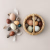 Moon Picnic | A dozen bird Eggs | Conscious Craft